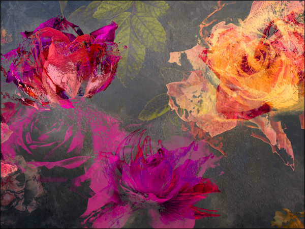 Floral : Floating Gardens