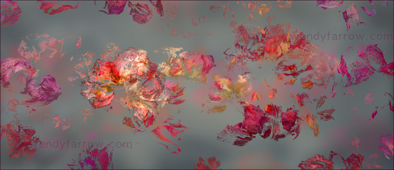 Garden of Secrets 02