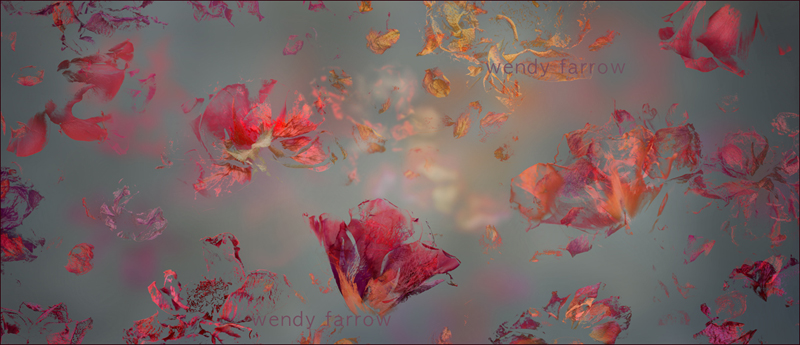 Garden of Secrets 03