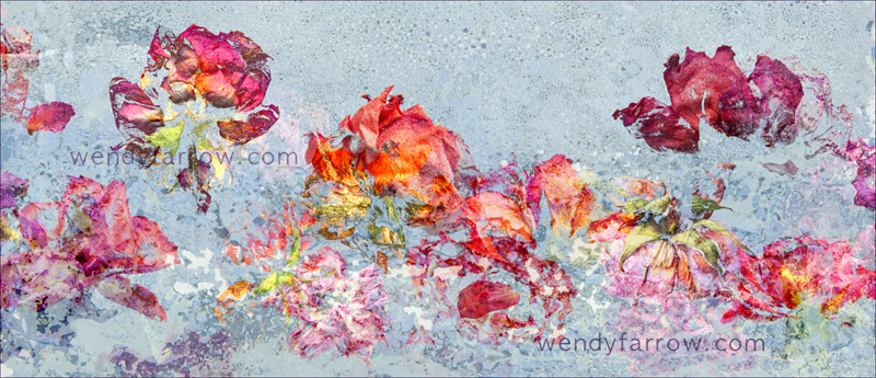 Lasting Impressions 1